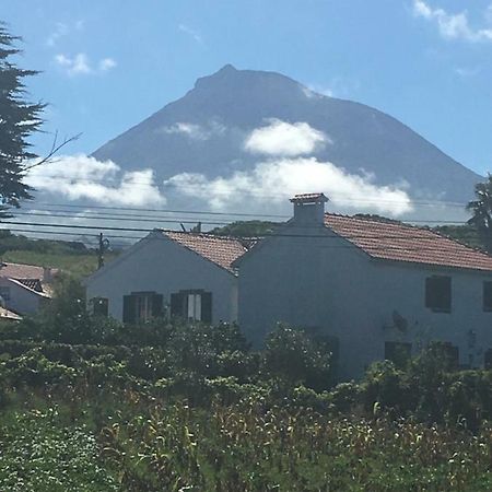 Home Pico - Casa Dos Cedros Criacao Velha エクステリア 写真