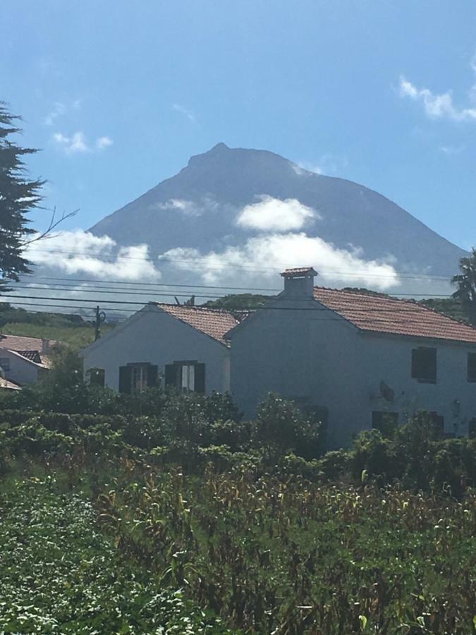 Home Pico - Casa Dos Cedros Criacao Velha エクステリア 写真